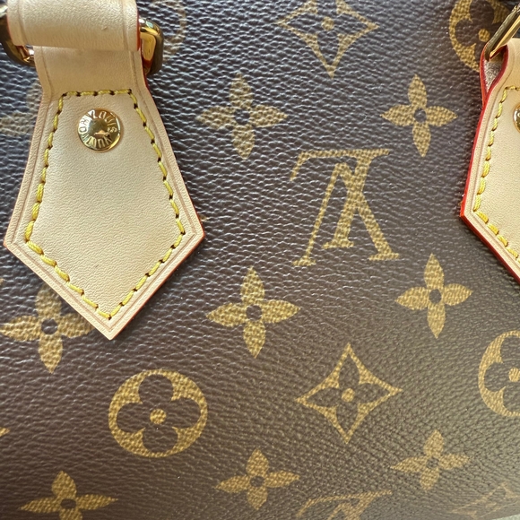 Louis Vuitton Monogram Mini Bag with Tan Accents - Picture 4 of 6